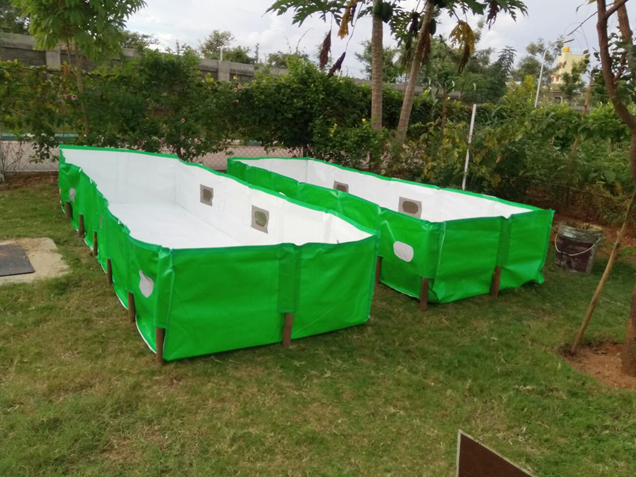 Project Details